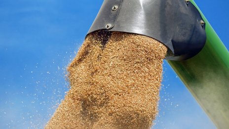 Цените на основните зърнени стоки отново поеха надолу тази седмица