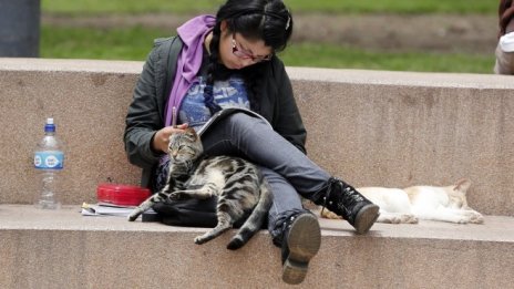 Държавата гарантира до 50 млн. лева за кредити на студенти и докторанти