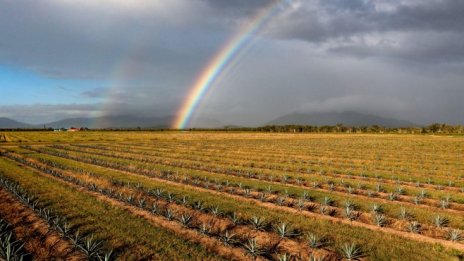 Австралия: Оставете капитализма да спаси света от климатичните промени