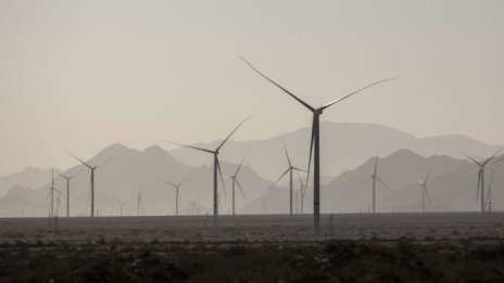 Как зелените облигации помагат в борбата с климатичните промени?