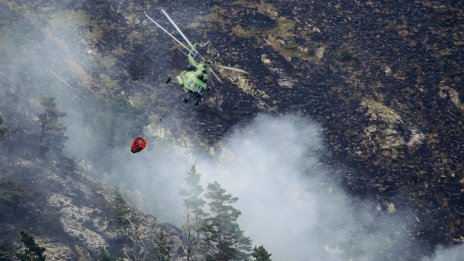 Над 1,2 млн. хектара гори и земи са унищожени при пожари в Европа през 2017 г.