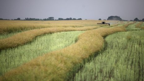 Фермерите получават по 150 лв. на хектар преразпределително плащане