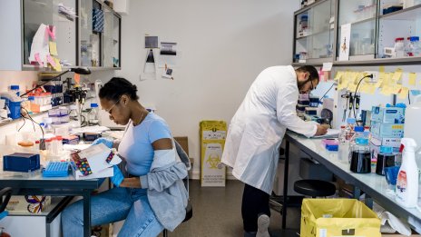 Европа се нуждае от повече от пари, за да привлече американски учени в областта на климата