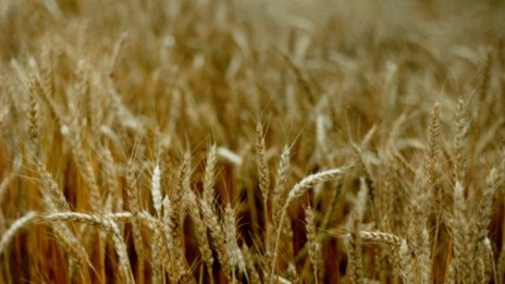 4 хил. тона негодни пестициди ще бъдат обезвредени