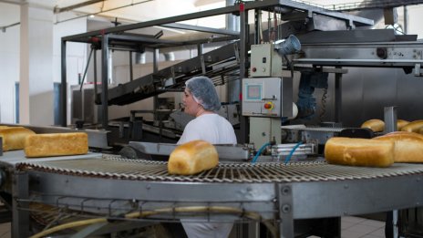 А. Николов: Очакванията са забавянето на икономиката да продължи