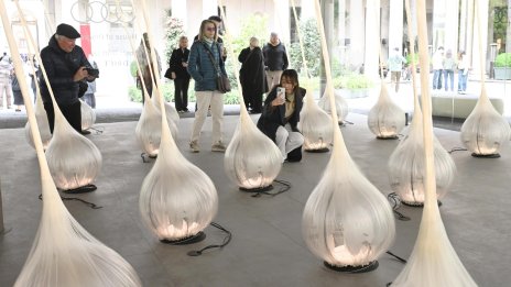 Кадър на деня за 8 април