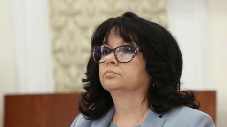 Теменужка Петкова: Ще спираме въглищни централи, но плавно
