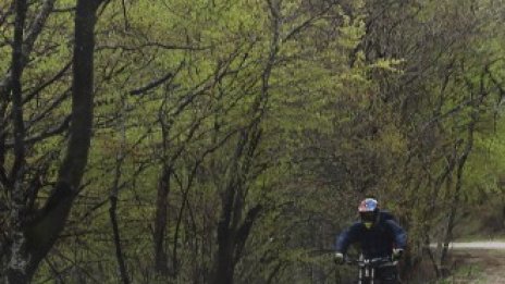 Премахват три незаконни строежа на фирма на Васил Божков във вила „Аглика“