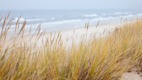 „Блек Сий Бийч“ поема плажа „Къмпинг Веселие“ в община Созопол