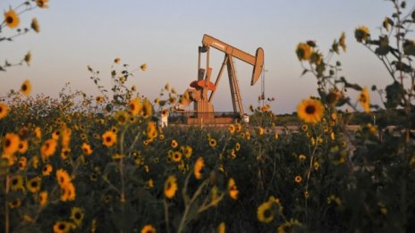 Петролният пазар показва признаци за ребалансиране