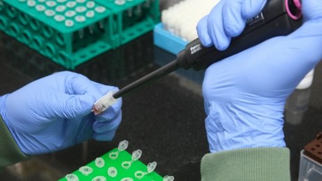 743 са новите случаи на Covid-19 в България