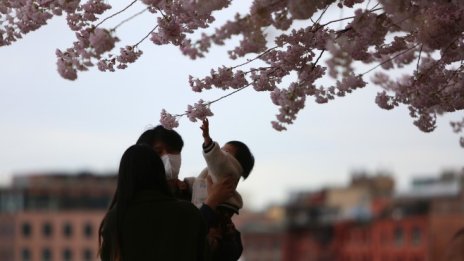 Кадър на деня за 25 март