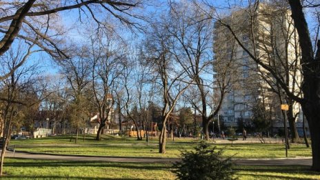 Патриотите предлагат да отпаднат декларациите за новопридобити имоти 