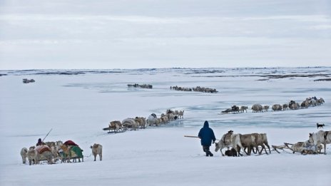 Далечният север каза „не“ на Путин