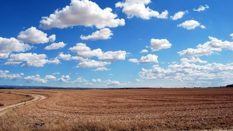 Европа ще загуби 40% от селскостопанската си продукция без прилепите