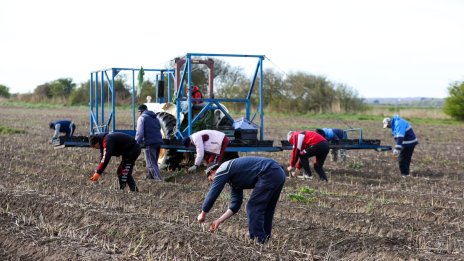 Защо държавите се надпреварват за мигранти?