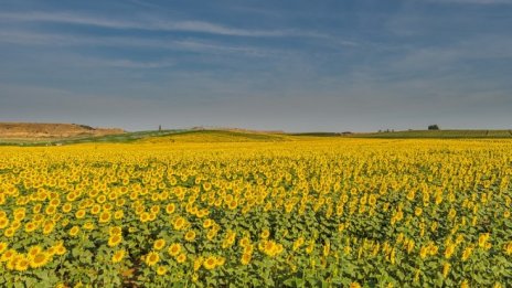 Кампанията за директни плащания започна с бюджет от почти 2 млрд. лв.