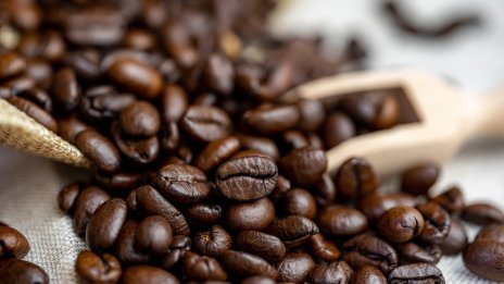 Как "специалното кафе" набира скорост и на българския пазар