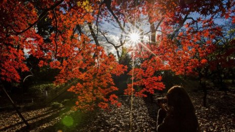 Дойде ли време жените да се захванат с климатичните промени?