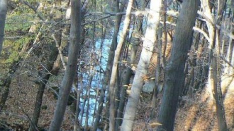 Асоциацията на парковете ще финансира подпомагащи биоразнообразието бизнеси