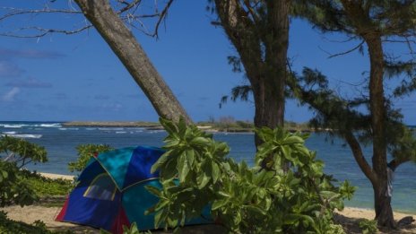 Румен Драганов: България може да увеличи поне три пъти броя на къмпингите