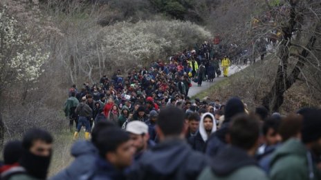 Централизирана система за подаване на молби за убежище предлагат евродепутати