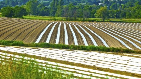 "Адванс Терафонд" приключва 2023 г. с печалба от 2,4 млн. лв.