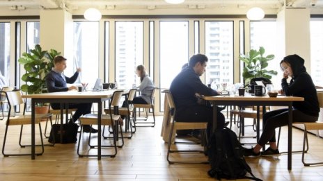 Експерт: Проверявайте рейтинга и онлайн реномето на работодателя срещу измами