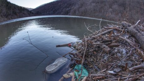 Кадър на деня за 25 януари