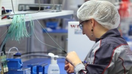 Около 40% от работещите българи се трудят в сектора на услугите