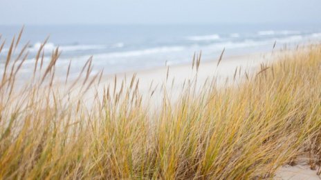 Плажовете "Корал", "Кара дере" и "Паша дере" стават част от "Натура 2000"