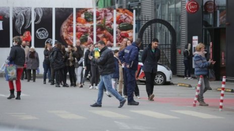 Ще получат ли държавна субсидия самонаетите лица