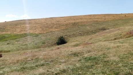 Лек спад на кредитираните от "Елана" покупки на земя за 11-те месеца 