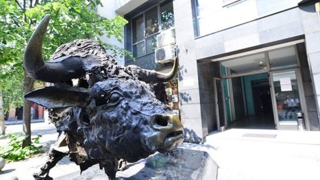 Акция на седмицата: „Шелли груп“ ЕД