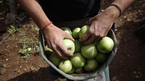 Експерт: Липсата на държавно финансиране води до голям отлив на биопроизводители