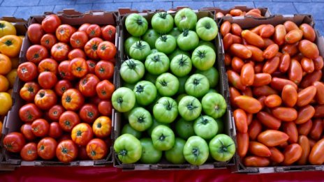 МЗХ предлага допълнителни субсидии за производителите на зеленчуци