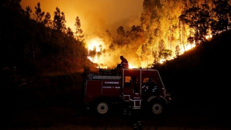 Броят на жертвите на горските пожари в Португалия достигна 57