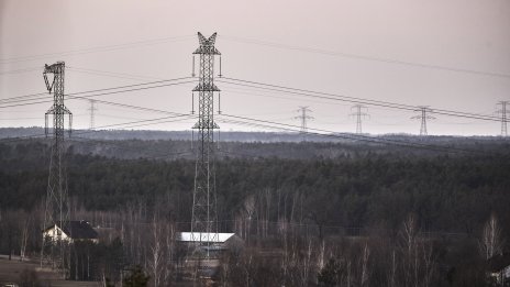 Полският регулатор разследва мистериозно поскъпване с над 950% на местна компания