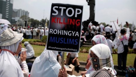 Мюсюлманите в ЕС вярват в демокрацията повече от останалите граждани