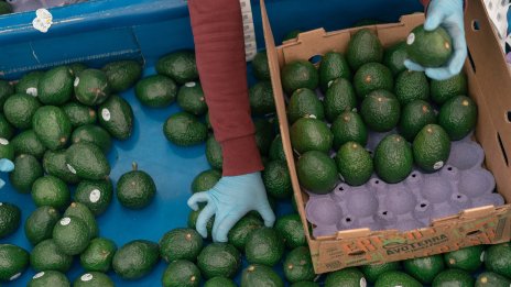 САЩ внасят повече храна от когато и да е било