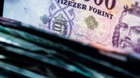 Заради колебливия валутен курс унгарците губят вяра във форинта