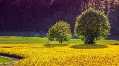 Само 1 акционер на "Агро Финанс" е приел търговото предложение на мажоритаря