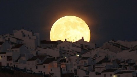 Големите печеливши и големите губещи през 2017 г.