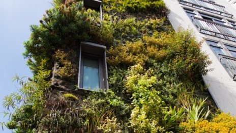 Ще поскъпнат ли имотите у нас след влизането в еврозоната?