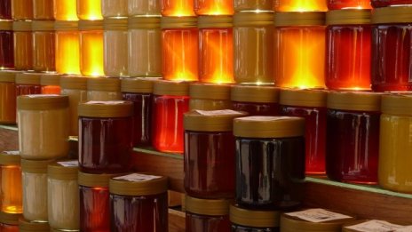 Пчеларите ще получат близо 4,3 млн. лв. държавна помощ