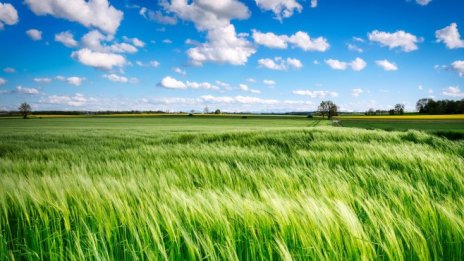 "Адванс Терафонд" с рекордни продажби и цена на земята през 2021 г.