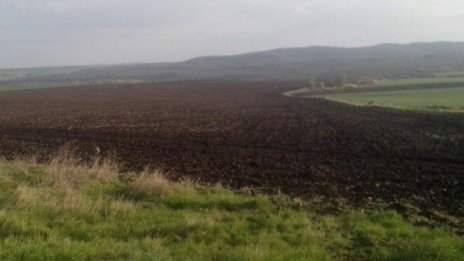 За първи път от над 3 години Адванс Терафонд купува на цена под 800 лв./дка