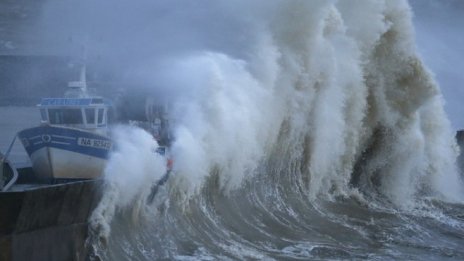 Световната тенденция за замърсяване на рибата не подмина България
