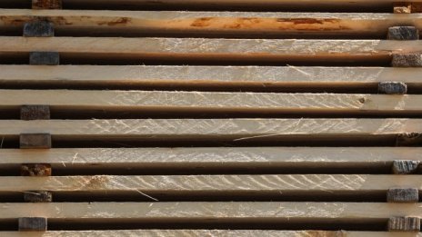 „Свилоза" прекратява временно работа заради липса на дървесина