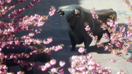 Световните акции достигнаха рекордно висока стойност